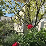 Stadtoase Koblenz (Rhineland-Palatinate)