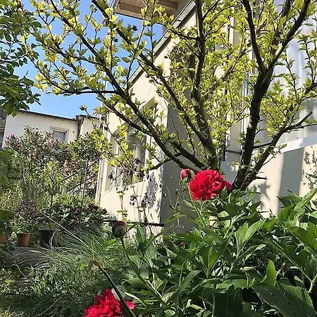 Stadtoase Кобленц