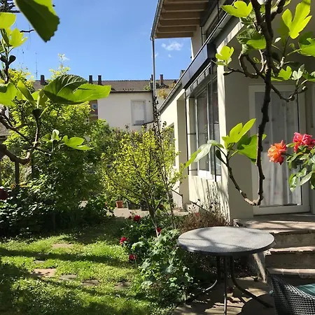 Stadtoase Apartment