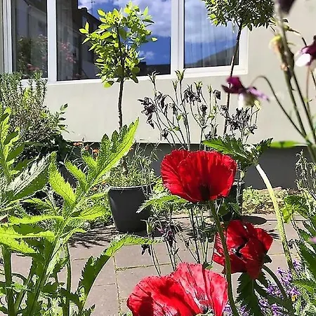 Apartman Stadtoase Koblenz