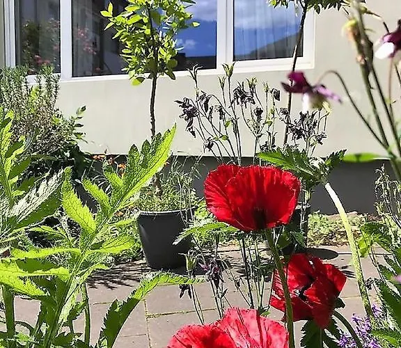 Apartment Stadtoase Koblenz (Rhineland-Palatinate)